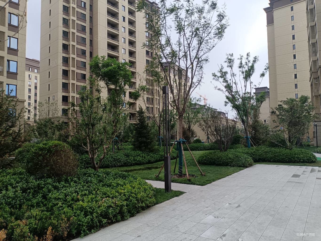 人气好房急了别划走大胆给价能谈中间楼层未来城