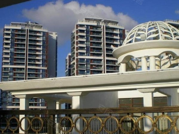 深圳南山蛇口南海玫瑰花园(三期)真盘实价,看深圳湾海景,精装修5房