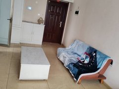 抚顺李石开发区顺安路阳光满满的南向精装一居室来啦！清晨被阳光叫醒，傍晚看出租房源真实图片