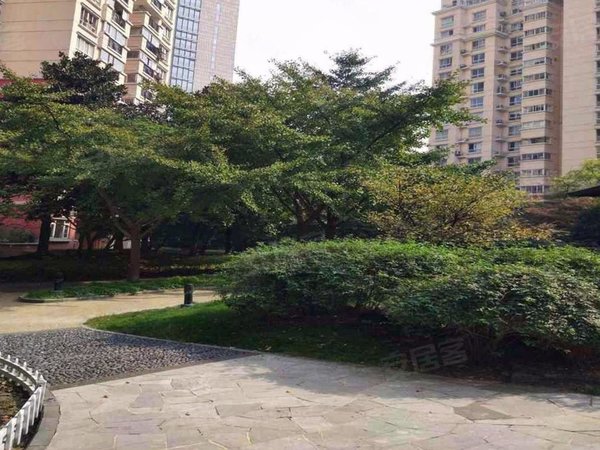 上海浦东陆家嘴菊园实惠的价,神奇的房,保证给您一个舒适的居住环境