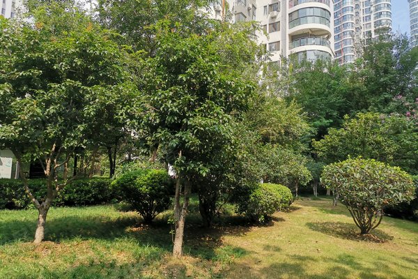 合肥小区 蜀山小区 合肥八中小区 森林海 森林海怎么样特色 【小区