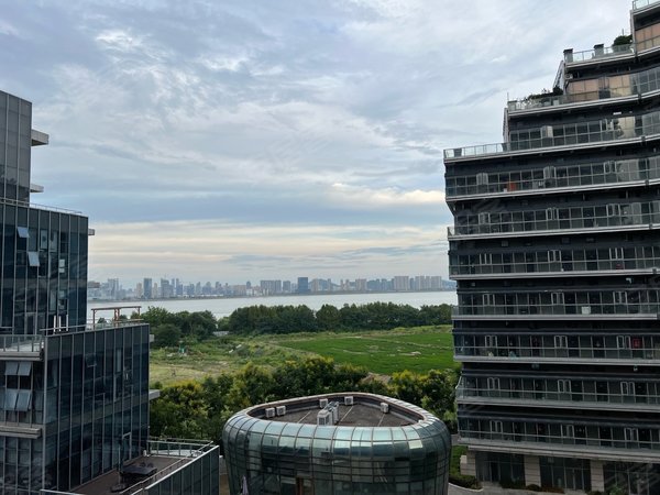 杭州西湖之江度假区钱塘湾钱塘one一室拎包入住江景房视野绝绝子出租