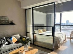 嘉兴嘉善罗星街道大润发楼上 财富广场 多套精装一室 拎包入住出租房源真实图片
