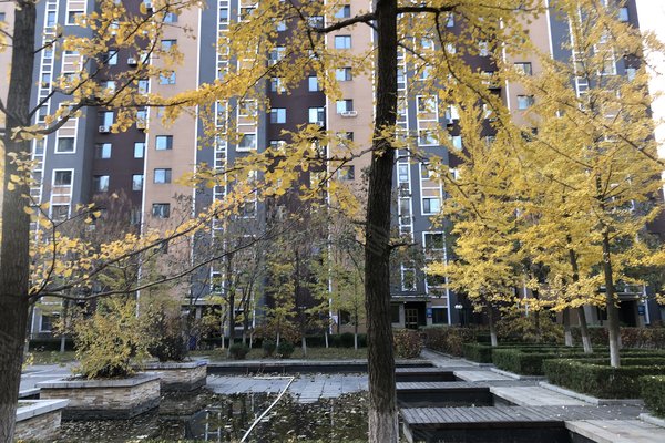 丹东小区 元宝小区 女人街小区 九江丽都