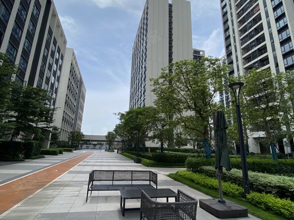 佛山禅城绿岛湖万科金域时光(商住楼)万科金域时光950元月 押一  电0.