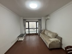 合肥新站家天下家天下四期内复式，急租，家电齐全，随时看出租房源真实图片