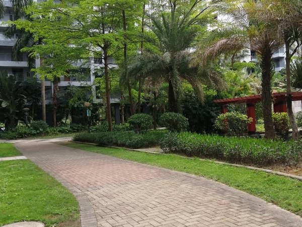 深圳龙岗宝龙蓝钻风景蓝钻房源,干净整洁通风好,有钥匙随时看房.