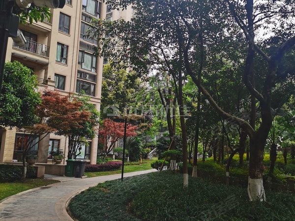 【多图】桃源居国际花园二区,空港租房,电梯房 1700元每月 押一付三