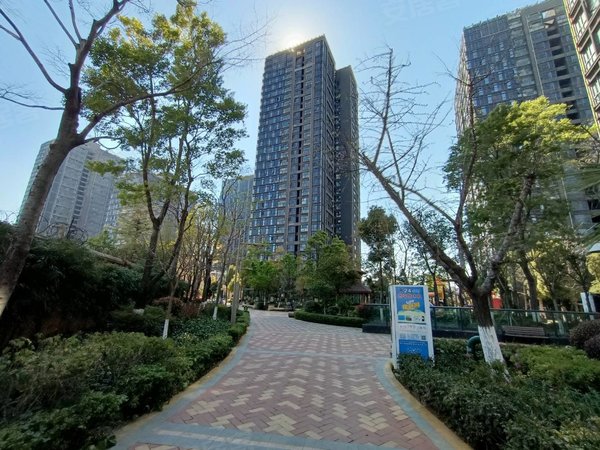 昆明官渡国贸中心银海尚御幸福广场!干净清爽!3室2厅!电梯房!
