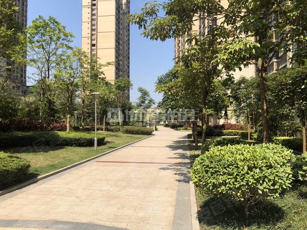 南宁青秀仙葫凤祥名居4室 面议 144平 精装 整租 电梯房 凤祥名居