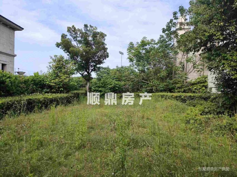 钟山国际高尔夫靠近球场法式独栋大别墅花园1500平