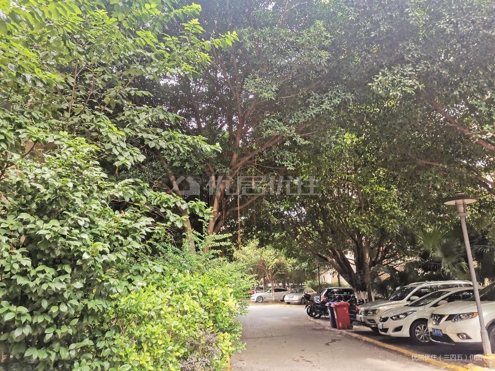 南津街洋房蓝滨一号出门就是滨江公园南滨路小学区政府