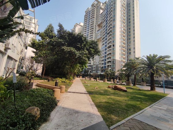 深圳南山后海蔚蓝海岸(一期)北师大附小附中电梯两房,家私家电全齐