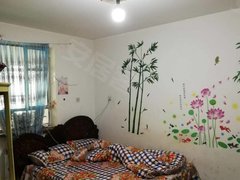 阿克苏阿克苏市阿克苏城区天百对面保险公司家属院 单间出租 押一付一  600一个月出租房源真实图片