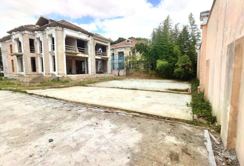 2号线徐泾东地铁口,花园2000平的独栋别墅,带电梯,有钥匙,西郊大公馆