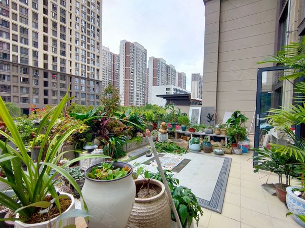 龙岩新罗万达建发首院带大露台高端小区建发首院现代精装修大三房拎包