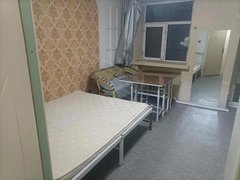 哈尔滨道外辽河路辽河路 红旗大街 红旗小区 三室女生合租 随时入住出租房源真实图片