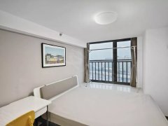 广州海珠南洲首月减200 全新出租复式公寓网红小区出租房源真实图片