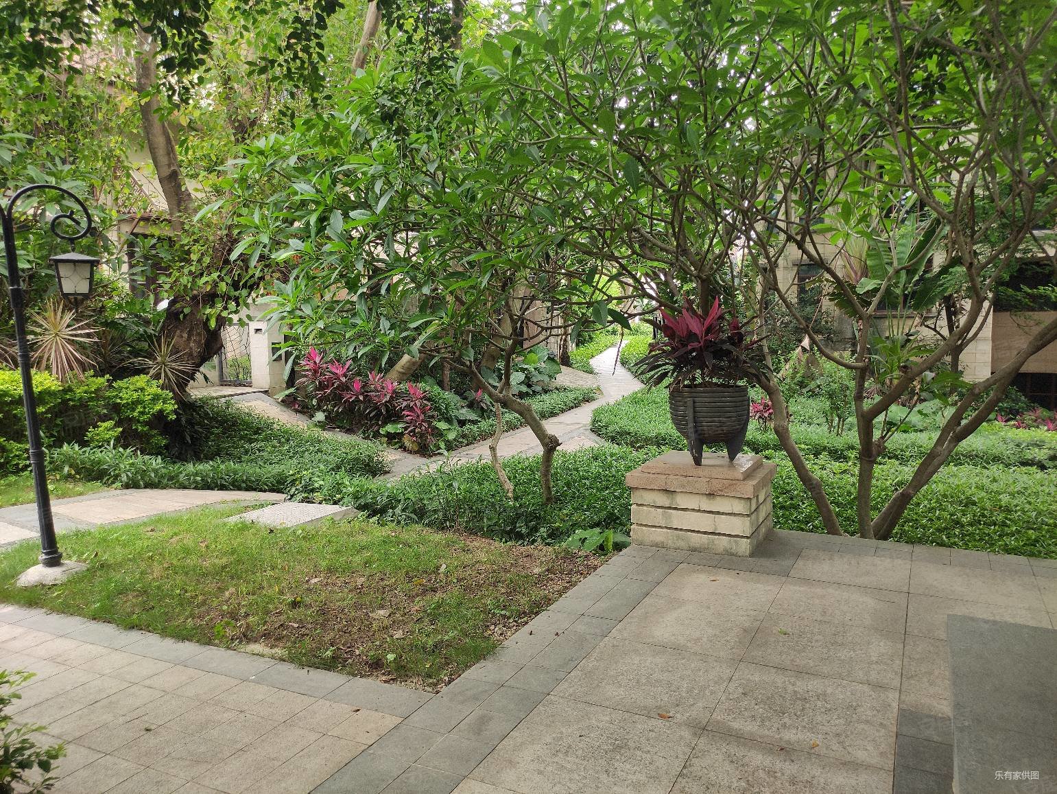 带前后花园 龙光别墅次新小区 交通便利近地铁 滨实书孢,龙光棕榈水岸