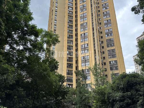 昆明西山滇池路片区金地悦天下整租 70平 2室 精装 半年付 金地悦天下