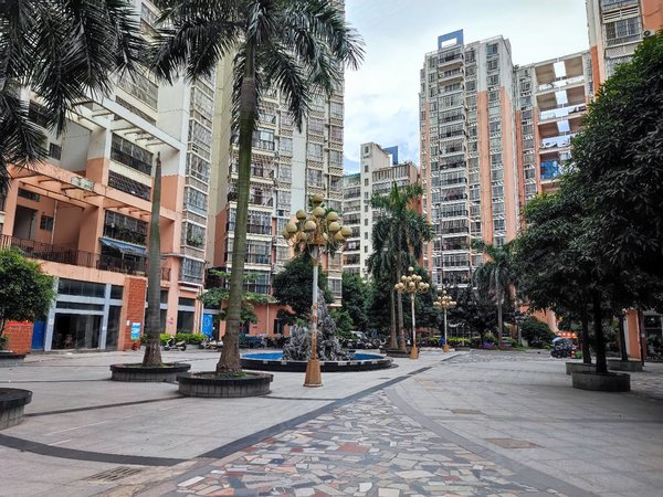 南宁西乡塘安吉棕榈湾棕榈湾3期电梯4房2厅精装房1800出租房源真实