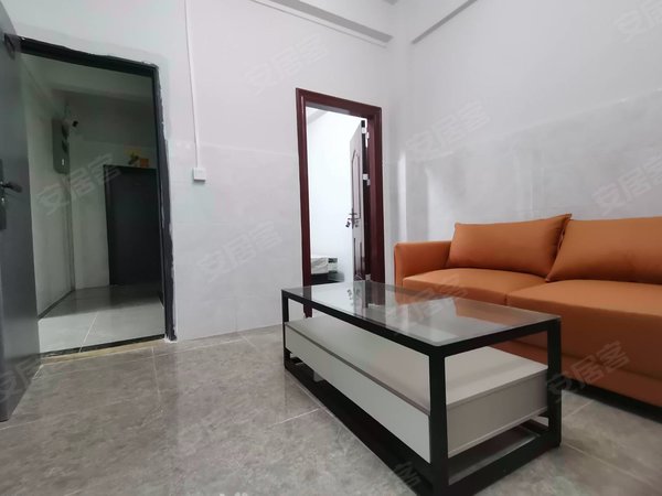 东莞塘厦老区林村自建房林村菜市场附近  1房1厅  全新装修电梯公寓