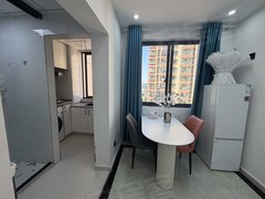 苏州吴中郭巷燃气厨卫近地铁口精装一室一厅立讯天运广场万祥赛场腾科沃斯追觅出租房源真实图片