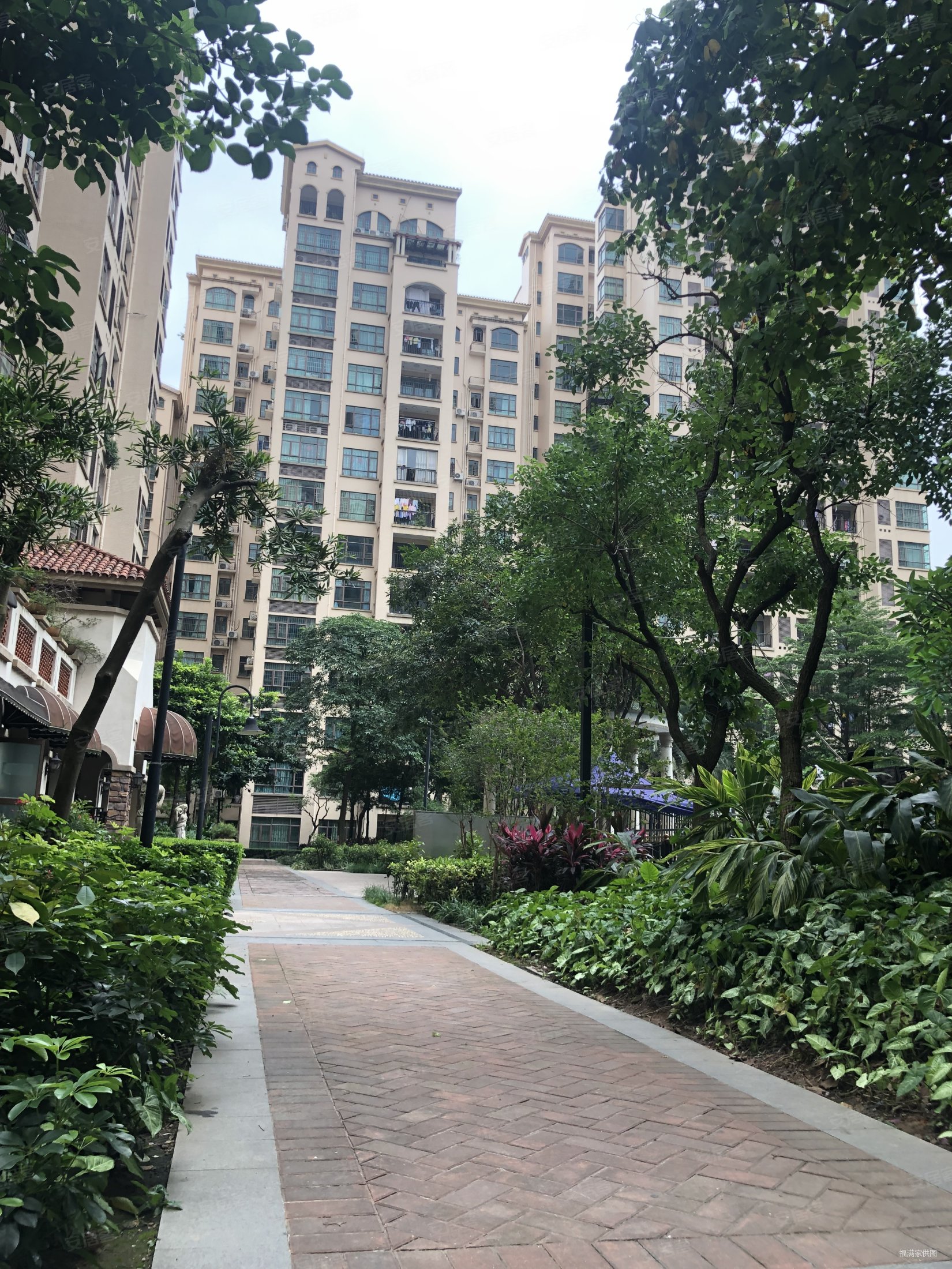 亏本急卖装修3房单价6000多格林美域