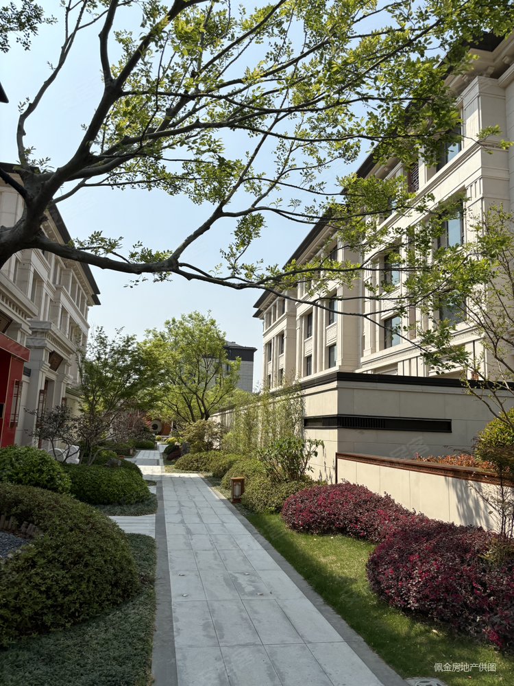 海马青风院子5室3厅4卫290㎡南北2150万