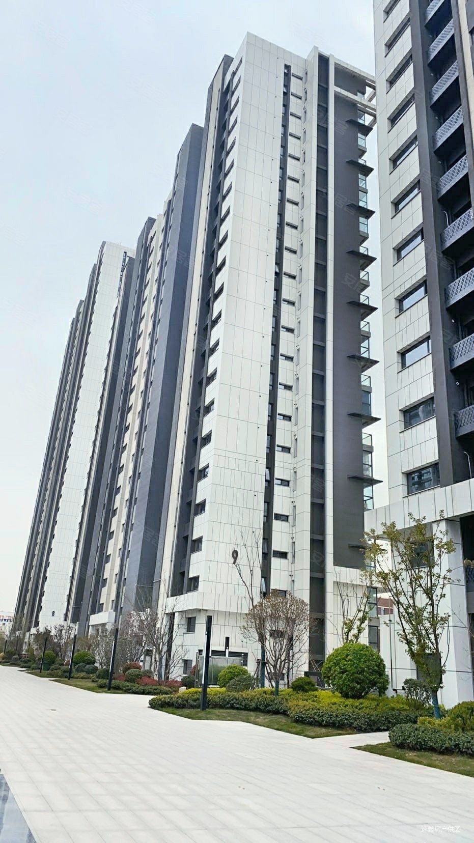 大正水晶森林1期