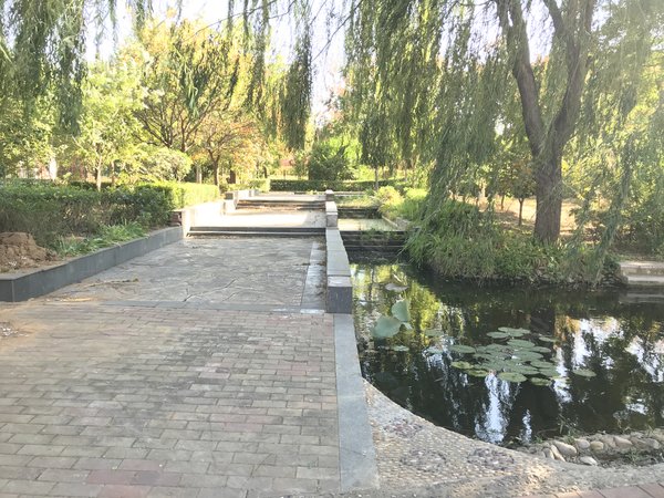 【多图】水岸绿洲,夏庄租房,水岸绿洲 3室2厅1卫 电梯房 精装修115