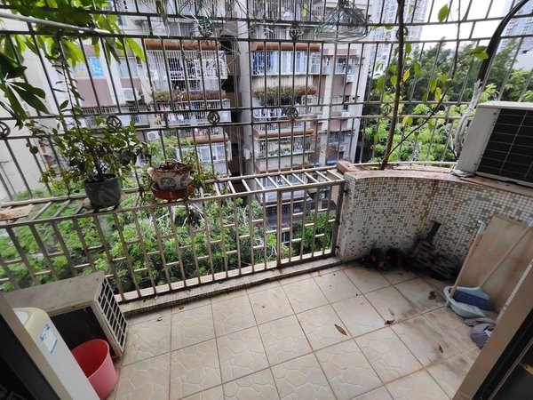 【多图】南光花园,南山中心区租房,南山地铁站 南光花园 三房两厅6200