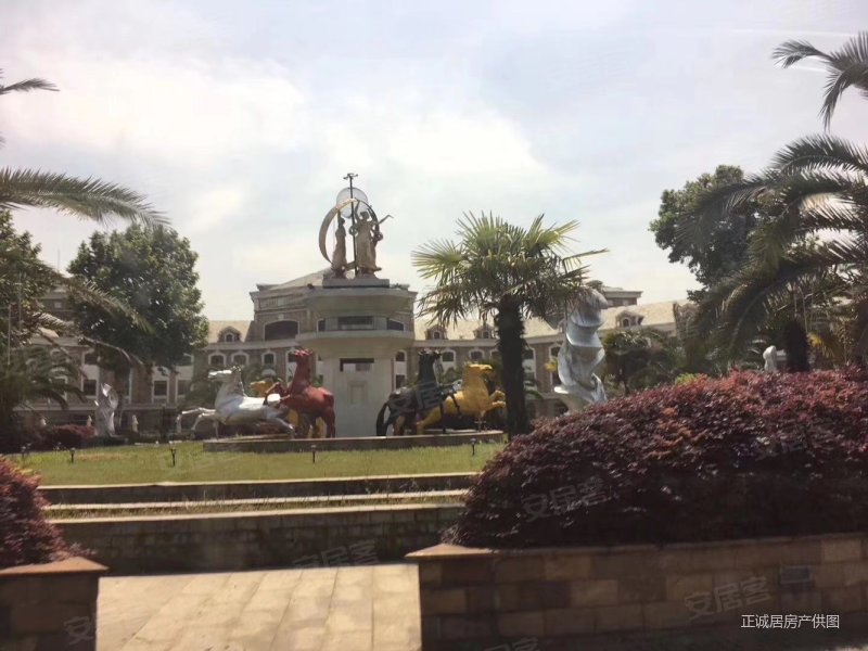 双洋湖畔 阳明山庄 欧式独栋别墅 低密宜居 大花园
