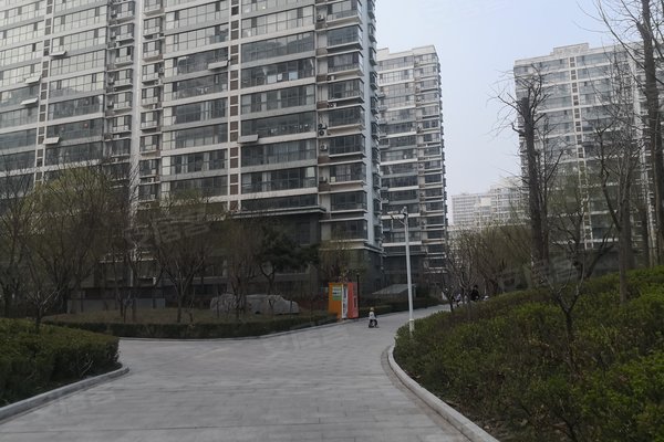 临沂小区 北城新区小区 老市委,天津路小区 齐鲁园