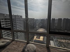 青岛市北中央商务区万达商场楼上 采光 非常好位置好拎包入住 可养宠物出租房源真实图片