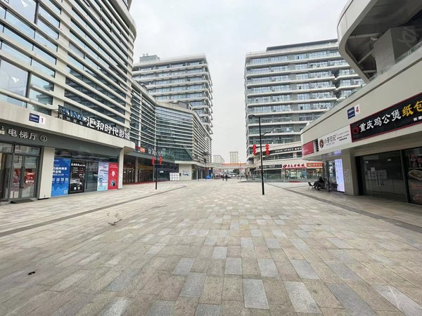 杭州西湖转塘奥莱金街奥莱金街高层两室 清爽装修有阳台 6号线霞鸣街