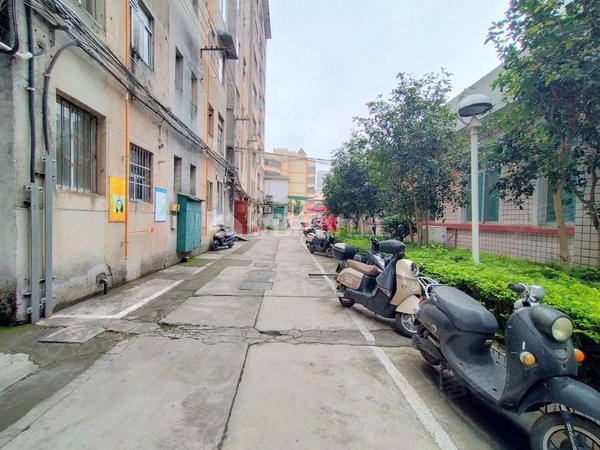 麻村地铁南湖公园园湖路星湖门诊宿舍随时看房方便有钥匙
