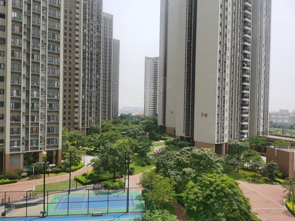 【多图】东江逸珑湾,新塘租房,东江逸珑湾 3室2厅2卫 电梯房 116平米