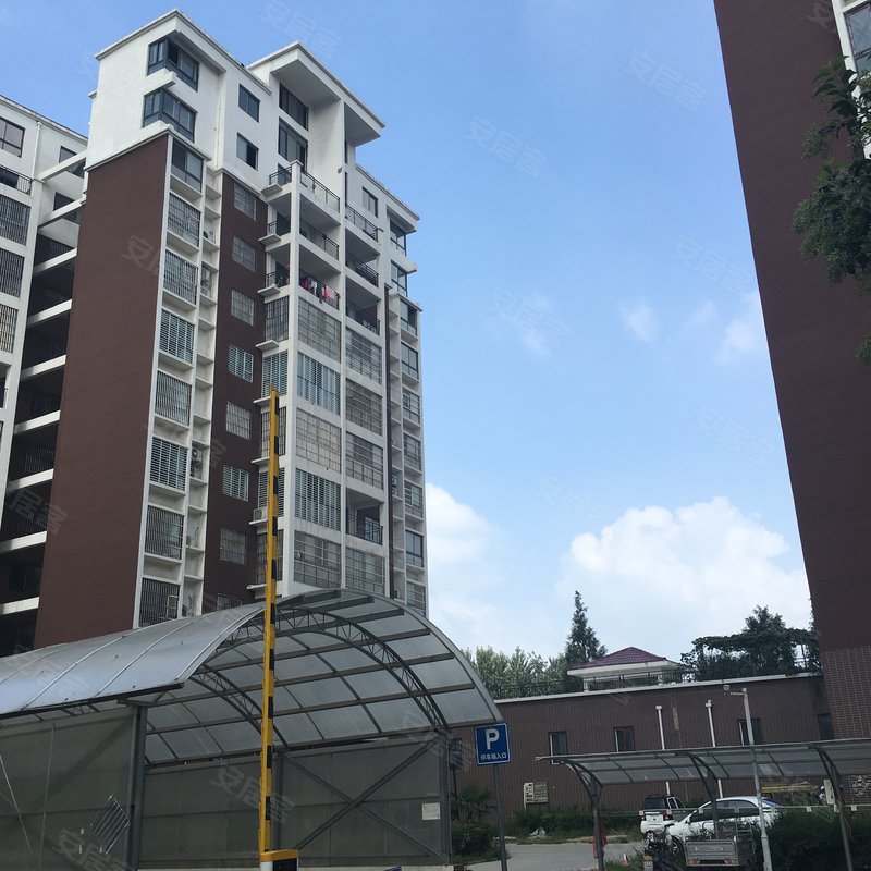 滨江国际星城小区详情,房价走势,房源,业主论坛】- 周口58同城