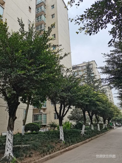 8万,长盛花园二手房,65.8万,2室2厅,1卫,86平米-重庆安居客