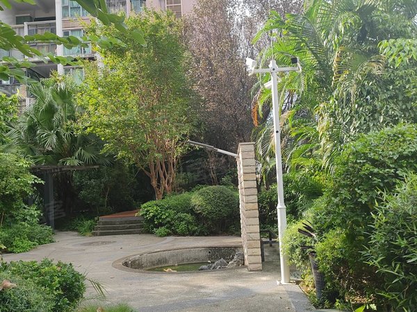 深圳龙华龙华丹枫雅苑龙华区 丹枫雅苑 精装2室 采光充足 家私齐全