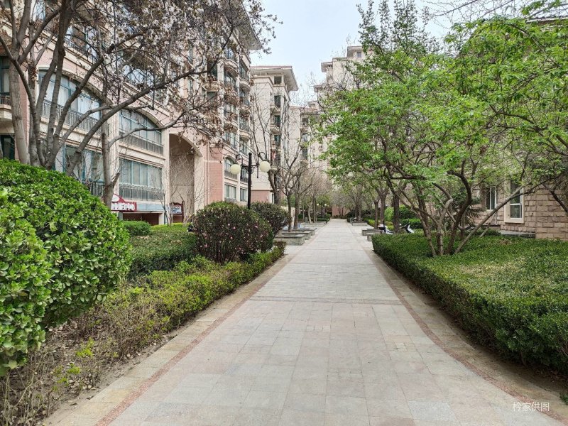 雁滩天庆嘉园白领户型 一室两厅 南北通透 产权可按揭 采光好