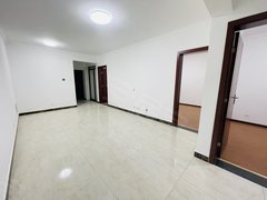 世博园 白龙路二环内 瑞鼎城 3室 87平 电梯房 精装修