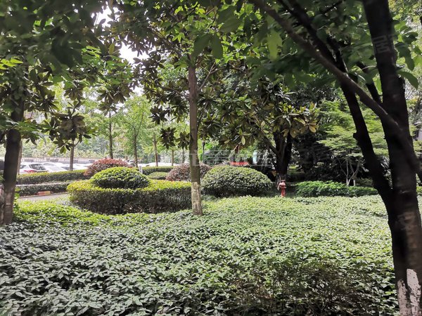 奥林匹克花园 整租一房 捏包入住 性价比高,渝北租房-重庆58安居客