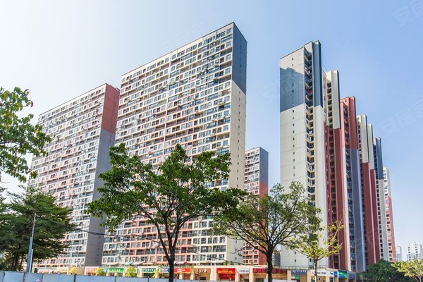 广州小区 番禺小区 市桥南小区 君华御府 君华御府怎么样 发布于2019