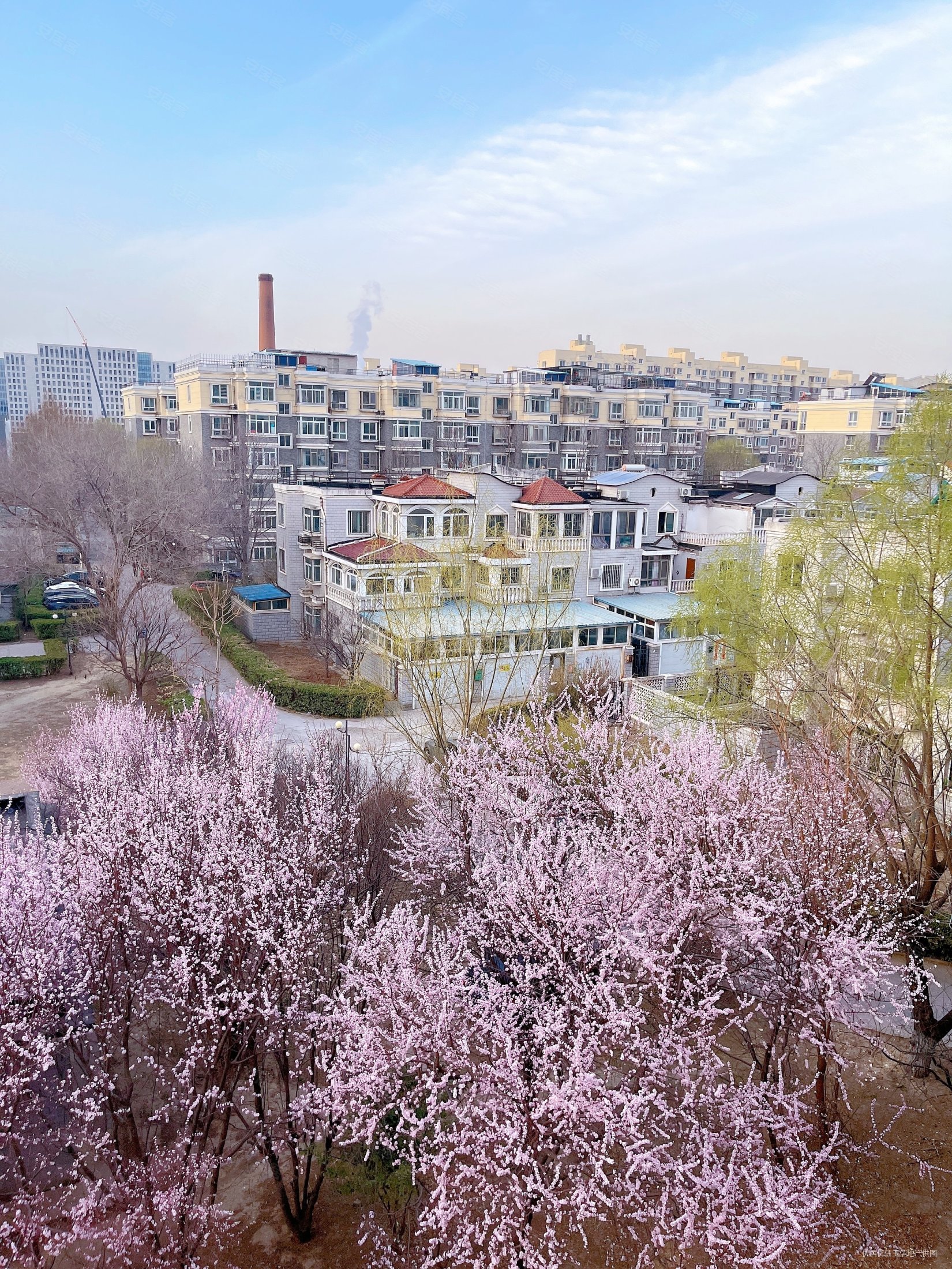 芳源里2室1厅1卫91.24㎡南北403万