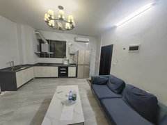 来宾兴宾兴宾城区巴黎春天，步行街旁，精装两房两厅一卫，家具家电齐全拧包入住，出租房源真实图片