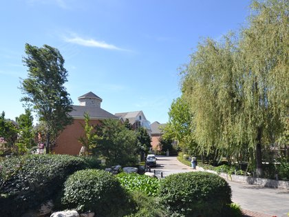 北京玫瑰园