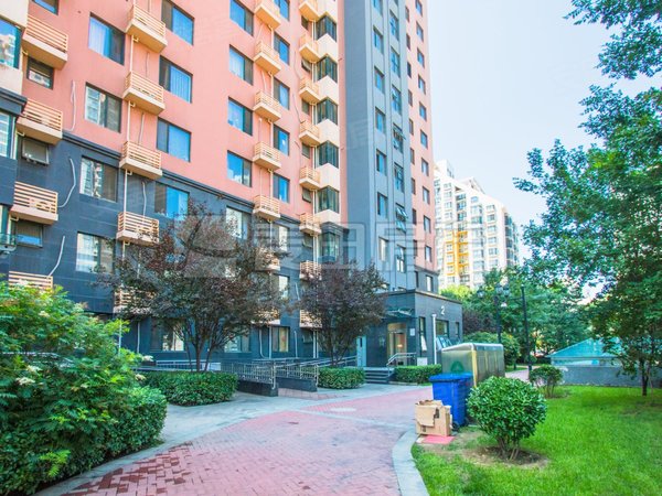 【多图】丰和园(15号院),太阳宫租房,南北通透 3室1厅 丰和园(15号院)