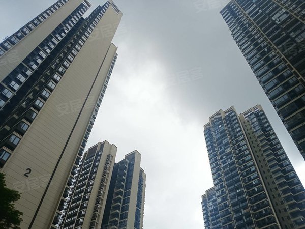 深圳坪山坪山润樾山花园高中园旁 精装首租 二房拎包入住 近兰坪高速